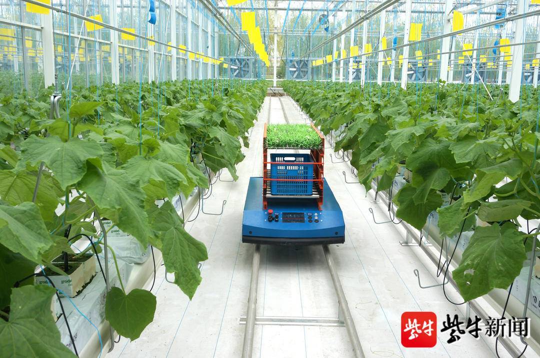 博田自动化是一家农业智能机器人研产商,专注于农业智能装备研发和